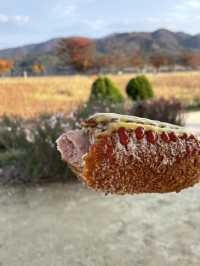 양평 두물머리 꼭 먹어야하는 명물 연잎핫도그🌭🍃