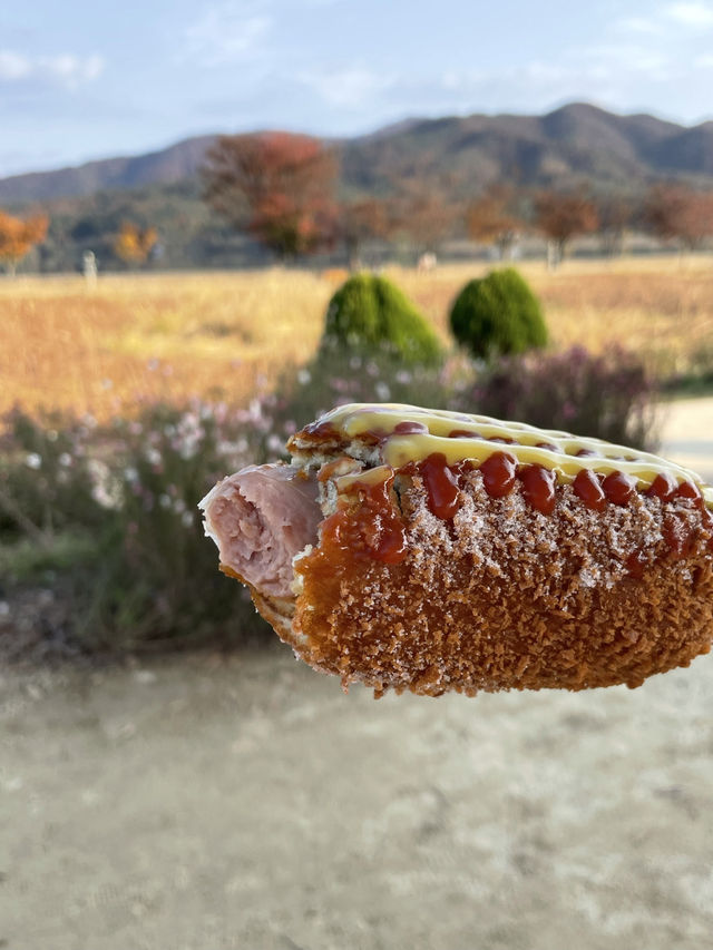 양평 두물머리 꼭 먹어야하는 명물 연잎핫도그🌭🍃