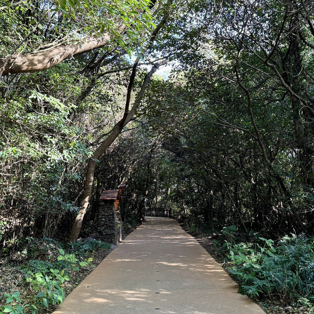 🏕️포토존 가득 제주 서쪽 가볼만한곳 추천 “산양큰엉곶”