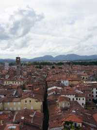 【イタリア・ルッカ】Guinigi Tower （グイニージ塔）