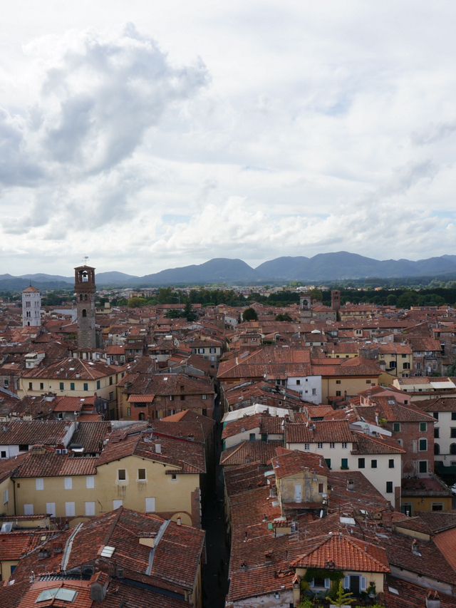 【イタリア・ルッカ】Guinigi Tower （グイニージ塔）