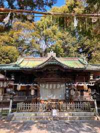 【埼玉浦和】ウサギがお出迎えしてくれる調神社✨