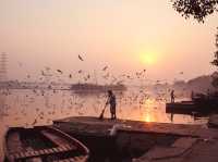 Tranquil Birdwatching Experience at Yamuna Ghat