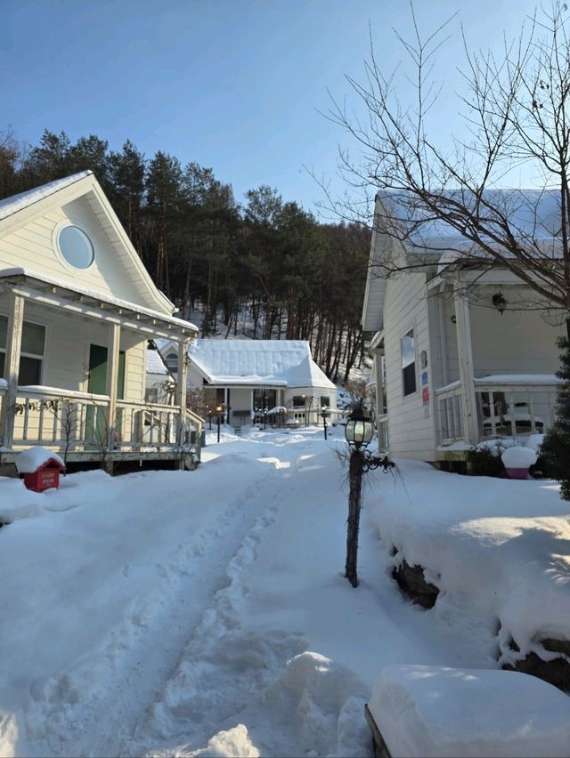 평창에 눈이 오면 꼭 가야할곳❄️🤍