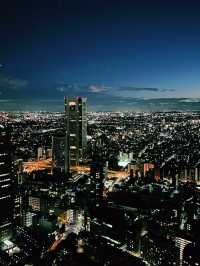 Tokyo’s Skyline Splendor at Sunset