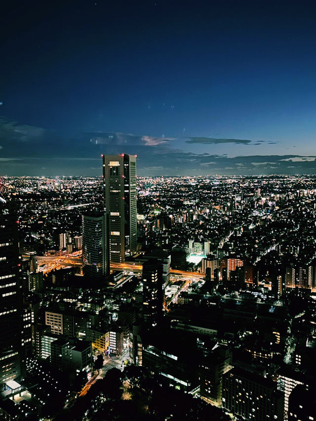 Tokyo’s Skyline Splendor at Sunset