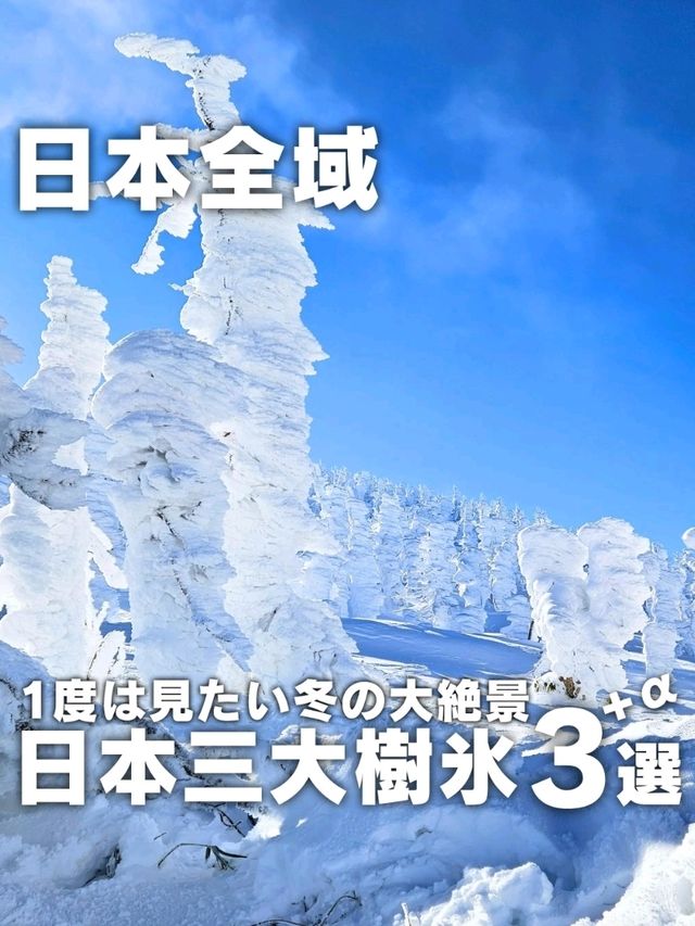 【日本全域】冬ならではの大絶景「日本三大樹氷 3選+α⁡⁡」