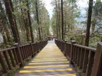 太平山國家森林遊樂區