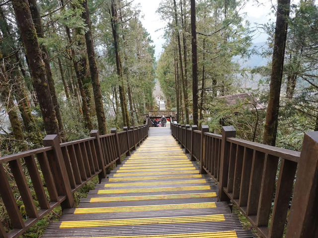 太平山國家森林遊樂區