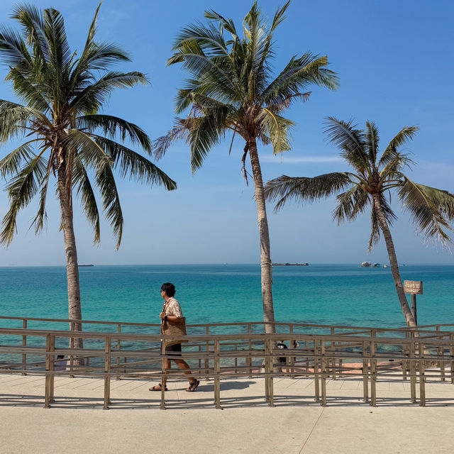 เกาะสีชัง ช่วงนี้น้ำใส ทะเลสวยมากๆ 🌊🏝️🩵
