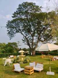 ออกเดทคาเฟ่ลับ ย่านคลองสามวา