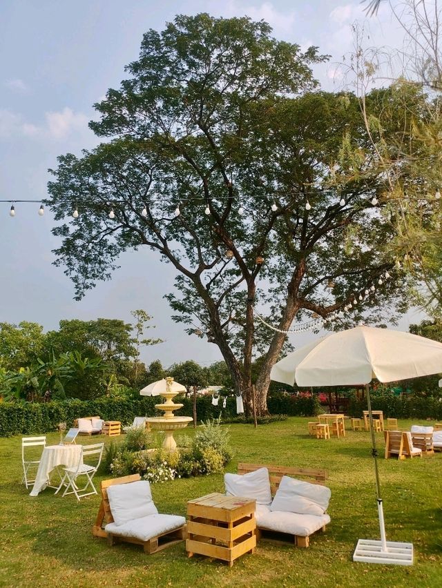 ออกเดทคาเฟ่ลับ ย่านคลองสามวา