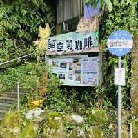 貓空漫遊-步道、美景與茶香的完美結合