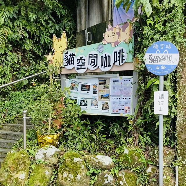 貓空漫遊-步道、美景與茶香的完美結合