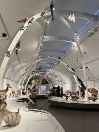Museum of Natural Sciences Brussels: A Journey Through Time and Evolution