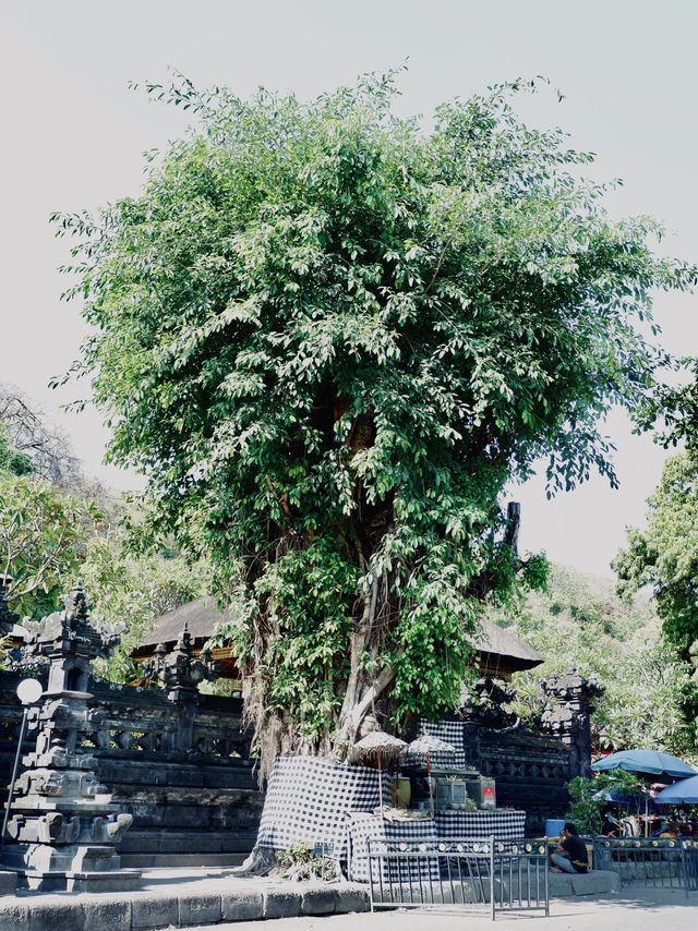 One Of Bali’s Holiest Temple 🛕✨