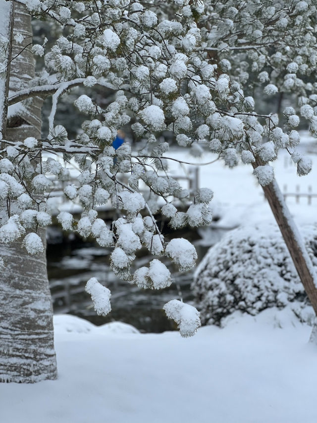【金沢】幻想的な雪景色の兼六園