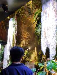 📍Cloud Forest