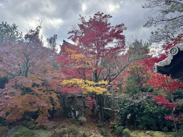 Điểm đến lý tưởng vào mùa thu tại Kyoto