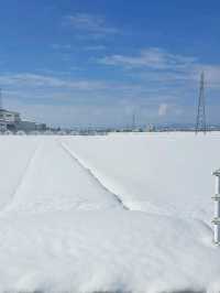 【廻る富山湾 すし玉 富山駅店:富山県富山市】