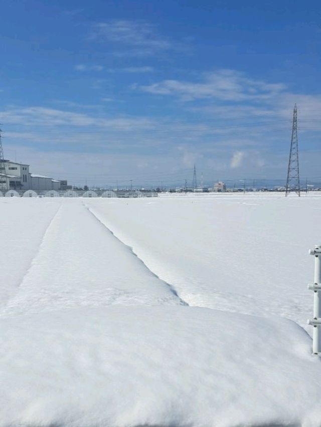 【廻る富山湾 すし玉 富山駅店:富山県富山市】