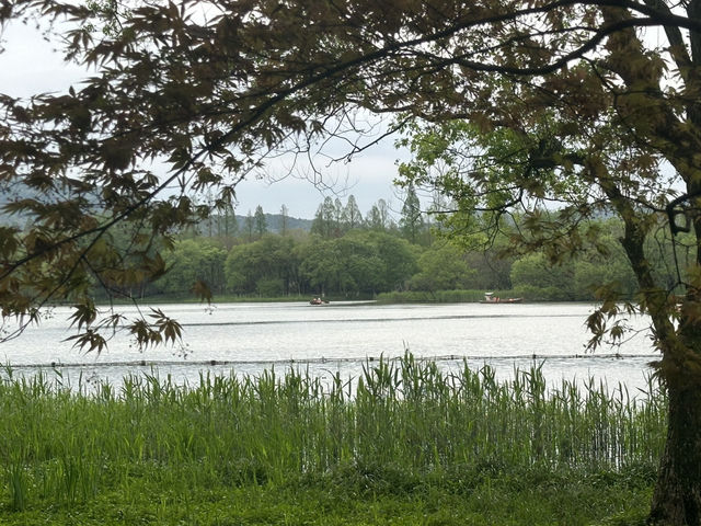 油畫一樣的靚景👍🏻👍🏻👍🏻