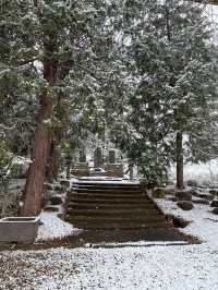 Winter Serenity at Matsushiro Castle