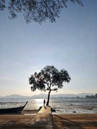 The Mangrove by Blu Monkey
