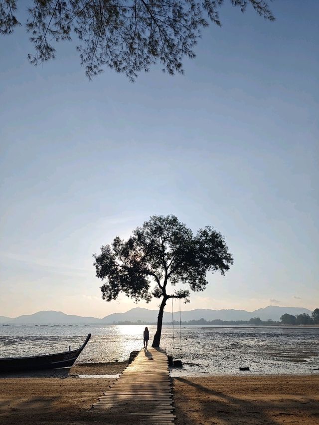 The Mangrove by Blu Monkey