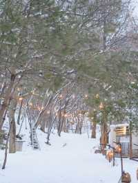 눈이 오면 꼭 다녀와야 할 설경 숙소❄️🩵 