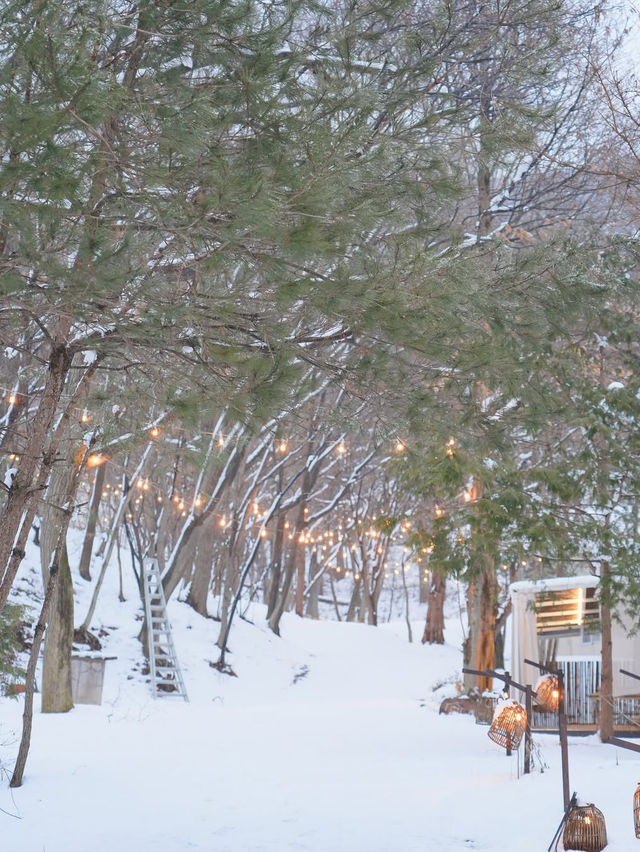 눈이 오면 꼭 다녀와야 할 설경 숙소❄️🩵 