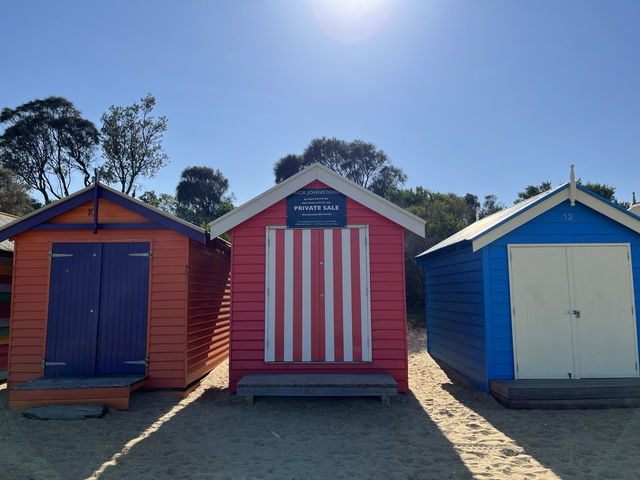 🇦🇺沙灘上超可愛彩色小屋 🏡