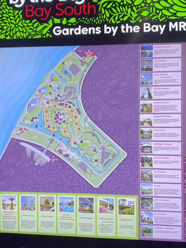 พาเที่ยว Garden by the Bay – สวนอวตารแห่งสิงคโปร์