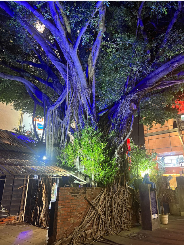 走訪百年歷史的古都🏛️