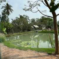 คาเฟ่ไม่ลับ ใน นนทบุรี