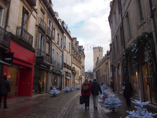 🏰옛 부르고뉴 공국 수도, 머스타드의 고장 디종 (Dijon)🇫🇷