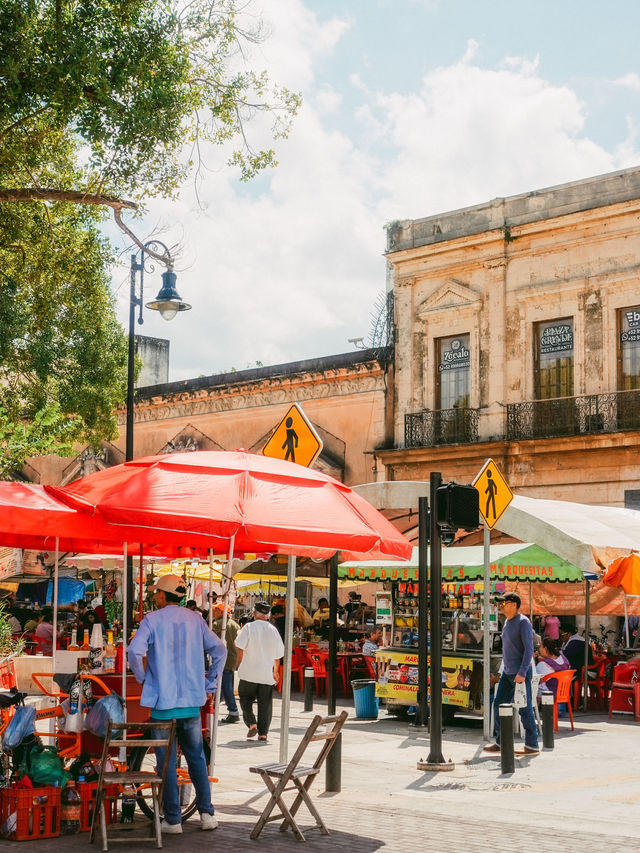 ユカタン半島最大の都市！メリダ🇲🇽🌿💘