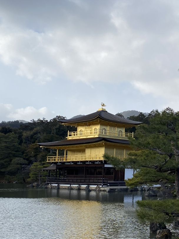 《冬日下的金閣寺：金碧輝煌的絕美風景》