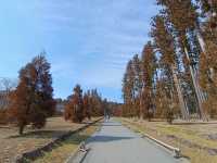 日本三景之松島遊：松島瑞巖寺