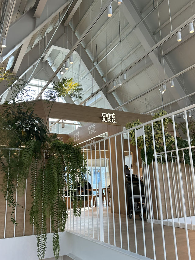 봄 느낌이 나는 채광 좋은 🌼 경기도 의왕 세련 카페투어 추천💛