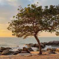 The Moment Beach House • Pattaya, Chonburi 