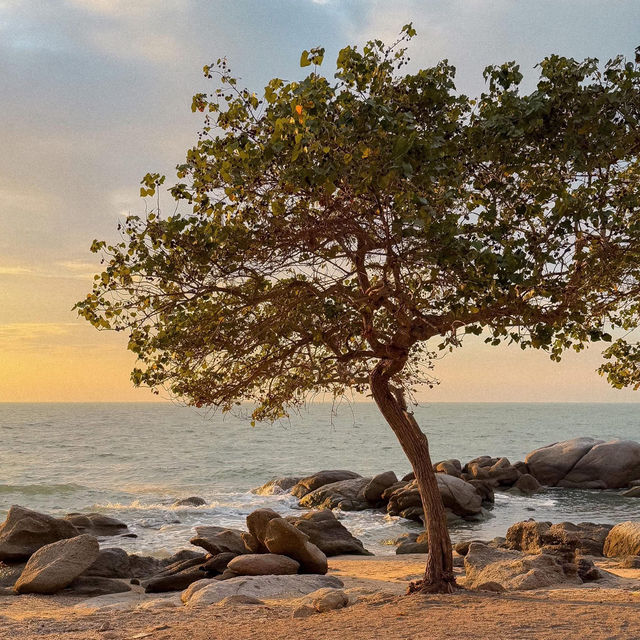 The Moment Beach House • Pattaya, Chonburi 