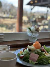 【埼玉×東松山】桜の季節は絶景！お花屋さんが経営するガーデンカフェ
