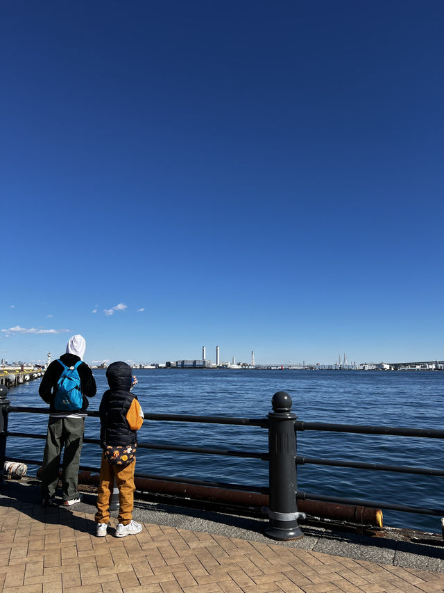 🍓 A Day in Yokohama – Strawberries, Chinatown & Coastal Charm 🚗🏙️