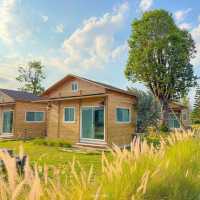Thammachard Campground ลานกางเต็นท์ ธรรมชาติ