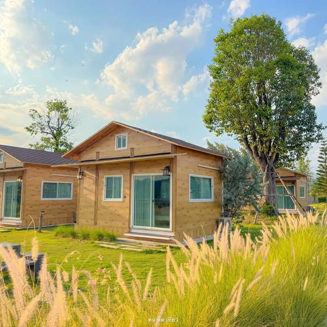 Thammachard Campground ลานกางเต็นท์ ธรรมชาติ