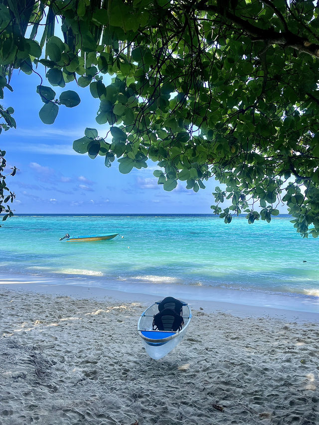 A peaceful paradise🧡