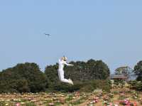 能古島海島公園：用不落幕的詩意花園