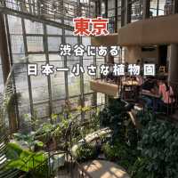 【東京】渋谷にある日本一小さな植物園🪴