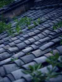 Chengdu Kuanzhai Alley
